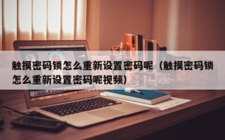 觸摸密碼鎖怎么重新設(shè)置密碼呢（觸摸密碼鎖怎么重新設(shè)置密碼呢視頻）