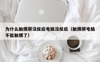 為什么觸摸屏沒反應電腦沒反應（觸摸屏電腦不能觸摸了）