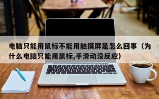 電腦只能用鼠標不能用觸摸屏是怎么回事（為什么電腦只能用鼠標,手滑動沒反應）
