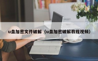 u盤加密文件破解（u盤加密破解教程視頻）
