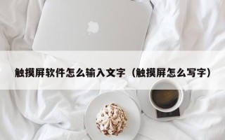 觸摸屏軟件怎么輸入文字（觸摸屏怎么寫字）