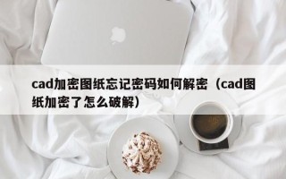 cad加密圖紙忘記密碼如何解密（cad圖紙加密了怎么破解）