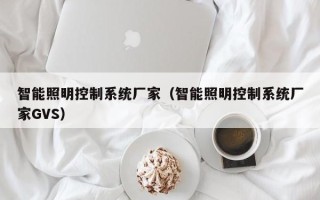 智能照明控制系統廠家（智能照明控制系統廠家GVS）
