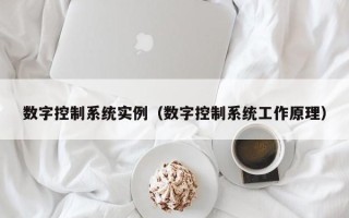數(shù)字控制系統(tǒng)實(shí)例（數(shù)字控制系統(tǒng)工作原理）