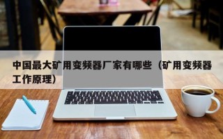 中國最大礦用變頻器廠家有哪些（礦用變頻器工作原理）
