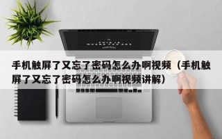 手機觸屏了又忘了密碼怎么辦啊視頻（手機觸屏了又忘了密碼怎么辦啊視頻講解）