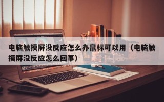 電腦觸摸屏沒反應怎么辦鼠標可以用（電腦觸摸屏沒反應怎么回事）