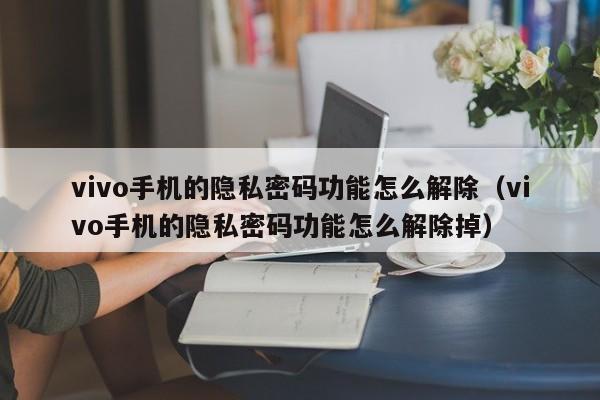 vivo手機的隱私密碼功能怎么解除（vivo手機的隱私密碼功能怎么解除掉）-第1張圖片-晉江速捷自動化科技有限公司