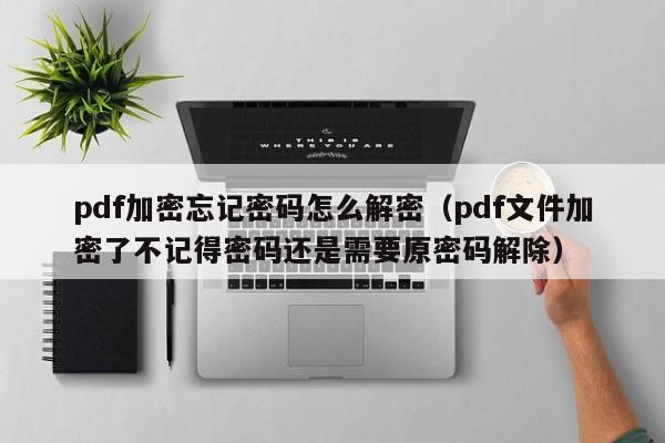 pdf加密忘記密碼怎么解密（pdf文件加密了不記得密碼還是需要原密碼解除）-第1張圖片-晉江速捷自動化科技有限公司