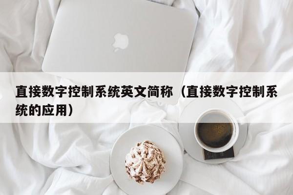 直接數字控制系統英文簡稱（直接數字控制系統的應用）-第1張圖片-晉江速捷自動化科技有限公司