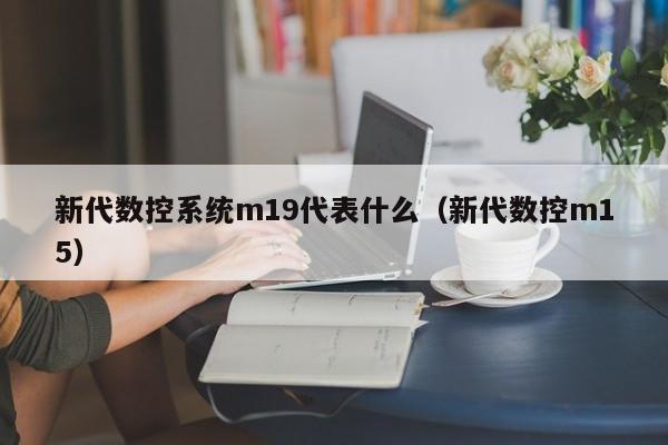 新代數(shù)控系統(tǒng)m19代表什么（新代數(shù)控m15）-第1張圖片-晉江速捷自動化科技有限公司