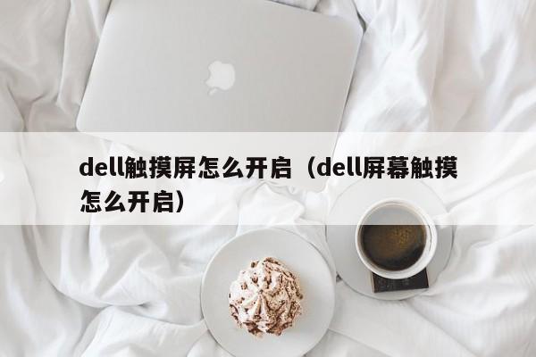 dell觸摸屏怎么開啟（dell屏幕觸摸怎么開啟）-第1張圖片-晉江速捷自動化科技有限公司