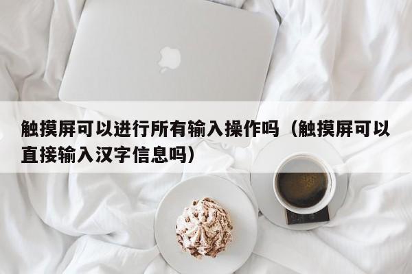 觸摸屏可以進行所有輸入操作嗎（觸摸屏可以直接輸入漢字信息嗎）-第1張圖片-晉江速捷自動化科技有限公司