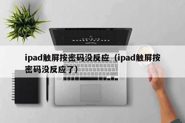 ipad觸屏按密碼沒反應(yīng)（ipad觸屏按密碼沒反應(yīng)了）-第1張圖片-晉江速捷自動化科技有限公司