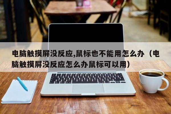 電腦觸摸屏沒反應(yīng),鼠標也不能用怎么辦（電腦觸摸屏沒反應(yīng)怎么辦鼠標可以用）-第1張圖片-晉江速捷自動化科技有限公司