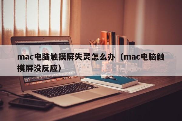 mac電腦觸摸屏失靈怎么辦（mac電腦觸摸屏沒反應）-第1張圖片-晉江速捷自動化科技有限公司