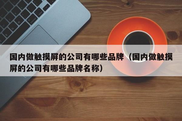 國內做觸摸屏的公司有哪些品牌（國內做觸摸屏的公司有哪些品牌名稱）-第1張圖片-晉江速捷自動化科技有限公司
