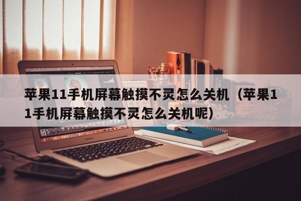 蘋(píng)果11手機(jī)屏幕觸摸不靈怎么關(guān)機(jī)（蘋(píng)果11手機(jī)屏幕觸摸不靈怎么關(guān)機(jī)呢）-第1張圖片-晉江速捷自動(dòng)化科技有限公司