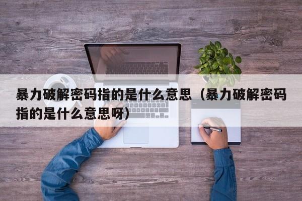 暴力破解密碼指的是什么意思（暴力破解密碼指的是什么意思呀）-第1張圖片-晉江速捷自動化科技有限公司