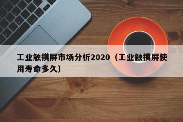 工業(yè)觸摸屏市場分析2020（工業(yè)觸摸屏使用壽命多久）-第1張圖片-晉江速捷自動化科技有限公司