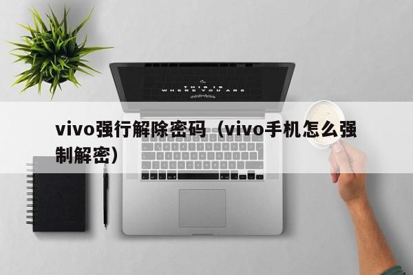 vivo強行解除密碼（vivo手機怎么強制解密）-第1張圖片-晉江速捷自動化科技有限公司