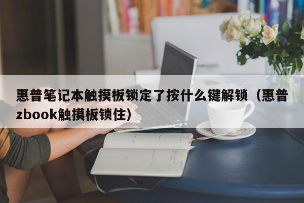 惠普筆記本觸摸板鎖定了按什么鍵解鎖（惠普zbook觸摸板鎖住）-第1張圖片-晉江速捷自動化科技有限公司