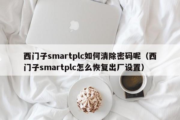 西門子smartplc如何清除密碼呢（西門子smartplc怎么恢復出廠設置）-第1張圖片-晉江速捷自動化科技有限公司