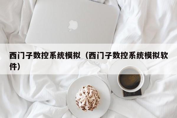 西門子數控系統模擬（西門子數控系統模擬軟件）-第1張圖片-晉江速捷自動化科技有限公司