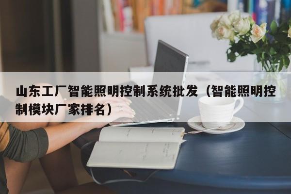 山東工廠智能照明控制系統(tǒng)批發(fā)（智能照明控制模塊廠家排名）-第1張圖片-晉江速捷自動(dòng)化科技有限公司