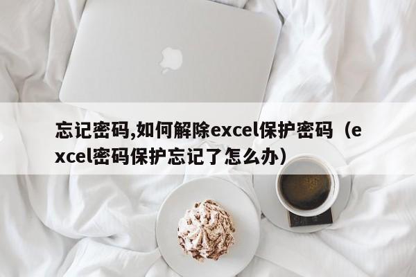忘記密碼,如何解除excel保護密碼（excel密碼保護忘記了怎么辦）-第1張圖片-晉江速捷自動化科技有限公司