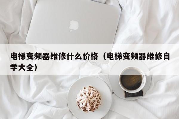 電梯變頻器維修什么價(jià)格（電梯變頻器維修自學(xué)大全）-第1張圖片-晉江速捷自動(dòng)化科技有限公司