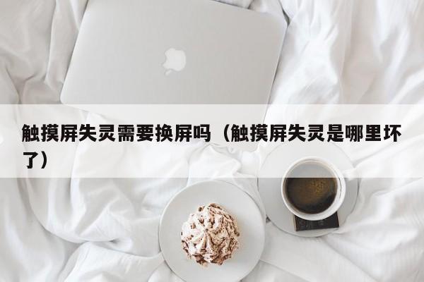 觸摸屏失靈需要換屏嗎（觸摸屏失靈是哪里壞了）-第1張圖片-晉江速捷自動(dòng)化科技有限公司