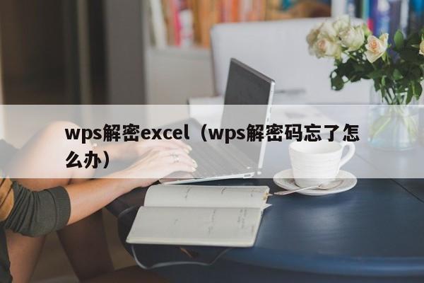 wps解密excel（wps解密碼忘了怎么辦）-第1張圖片-晉江速捷自動化科技有限公司