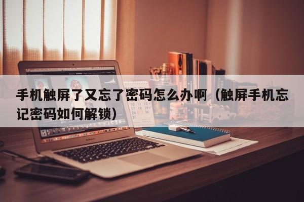 手機觸屏了又忘了密碼怎么辦啊（觸屏手機忘記密碼如何解鎖）-第1張圖片-晉江速捷自動化科技有限公司
