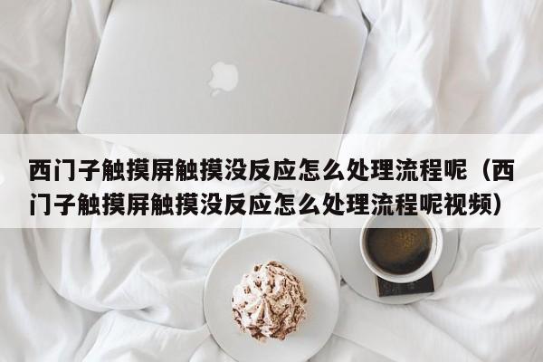 西門子觸摸屏觸摸沒反應怎么處理流程呢（西門子觸摸屏觸摸沒反應怎么處理流程呢視頻）-第1張圖片-晉江速捷自動化科技有限公司