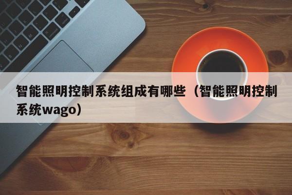 智能照明控制系統(tǒng)組成有哪些（智能照明控制系統(tǒng)wago）-第1張圖片-晉江速捷自動(dòng)化科技有限公司