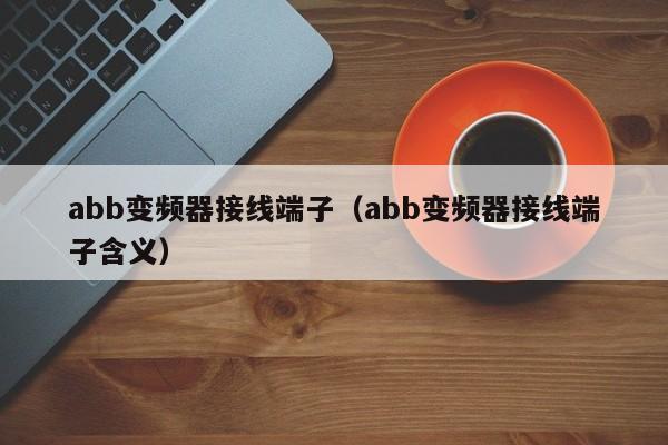 abb變頻器接線端子（abb變頻器接線端子含義）-第1張圖片-晉江速捷自動化科技有限公司