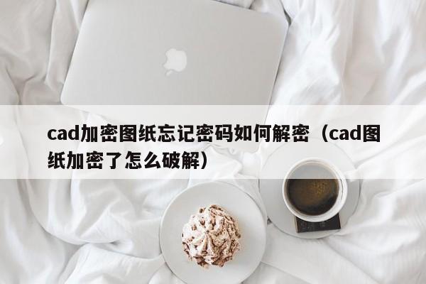 cad加密圖紙忘記密碼如何解密（cad圖紙加密了怎么破解）-第1張圖片-晉江速捷自動化科技有限公司