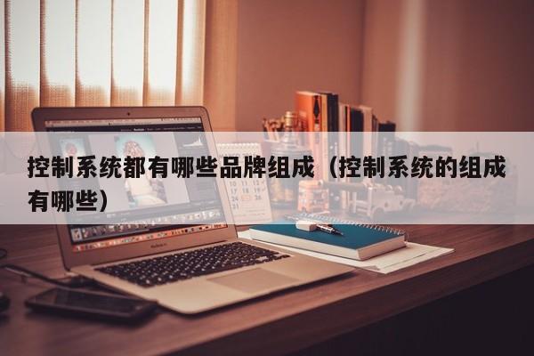 控制系統都有哪些品牌組成（控制系統的組成有哪些）-第1張圖片-晉江速捷自動化科技有限公司
