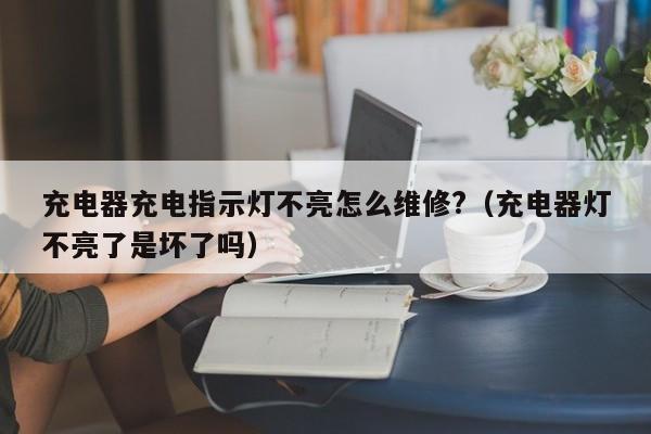 充電器充電指示燈不亮怎么維修?（充電器燈不亮了是壞了嗎）-第1張圖片-晉江速捷自動化科技有限公司