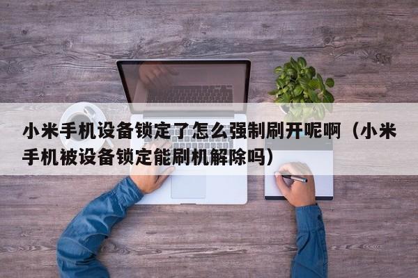 小米手機設備鎖定了怎么強制刷開呢啊（小米手機被設備鎖定能刷機解除嗎）-第1張圖片-晉江速捷自動化科技有限公司