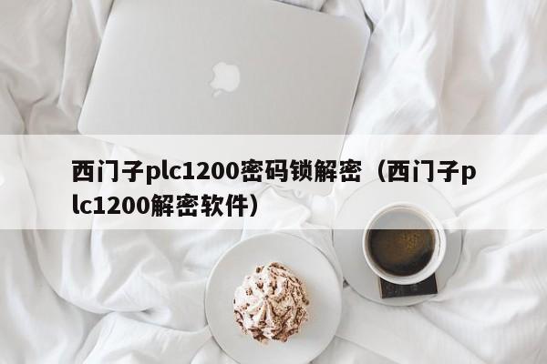 西門子plc1200密碼鎖解密（西門子plc1200解密軟件）-第1張圖片-晉江速捷自動化科技有限公司