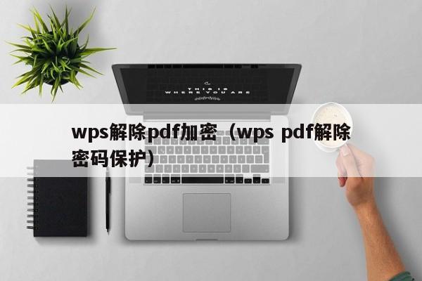 wps解除pdf加密（wps pdf解除密碼保護）-第1張圖片-晉江速捷自動化科技有限公司