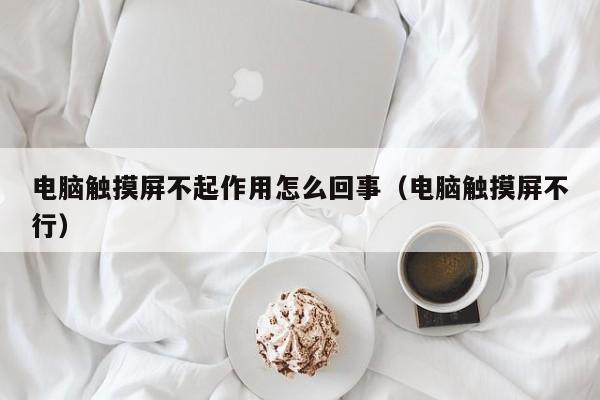 電腦觸摸屏不起作用怎么回事（電腦觸摸屏不行）-第1張圖片-晉江速捷自動化科技有限公司