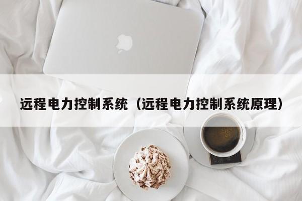 遠(yuǎn)程電力控制系統(tǒng)（遠(yuǎn)程電力控制系統(tǒng)原理）-第1張圖片-晉江速捷自動(dòng)化科技有限公司