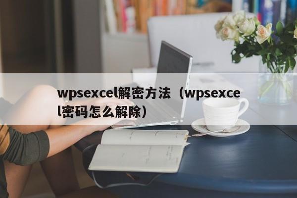 wpsexcel解密方法（wpsexcel密碼怎么解除）-第1張圖片-晉江速捷自動化科技有限公司